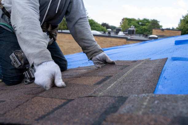 Professional Roofing Contractor in Punaluu, HI