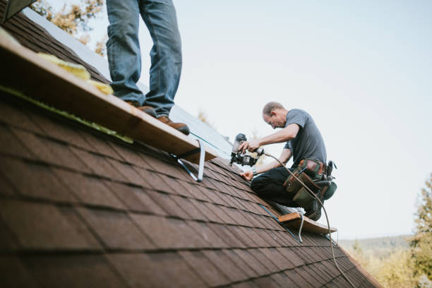 Residential Roof Replacement in Punaluu, HI