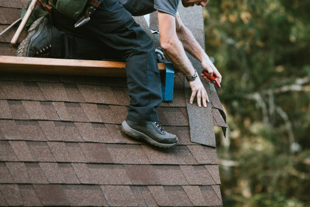 Roof Gutter Cleaning in Punaluu, HI