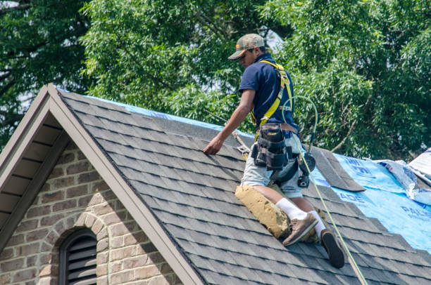 Best Residential Roof Replacement  in Punaluu, HI